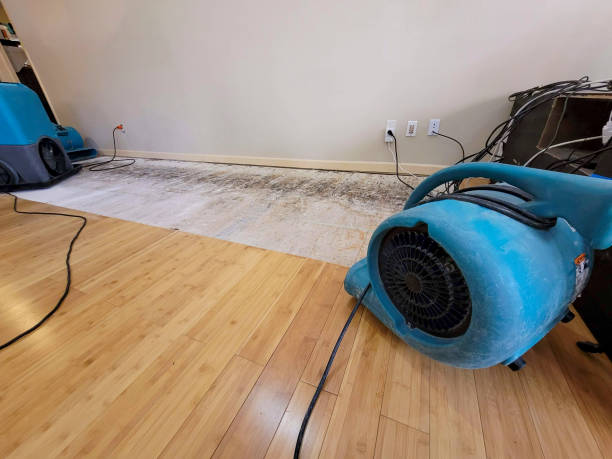 Professional Structural Drying technician working in Ashton, MD